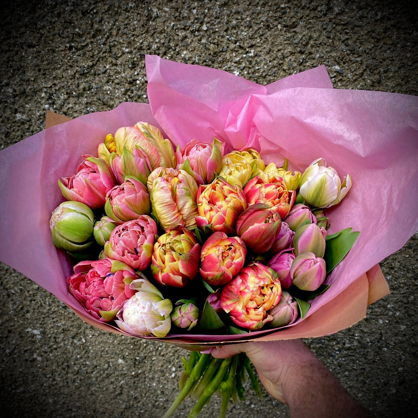 Bunch of Speciality Tulips