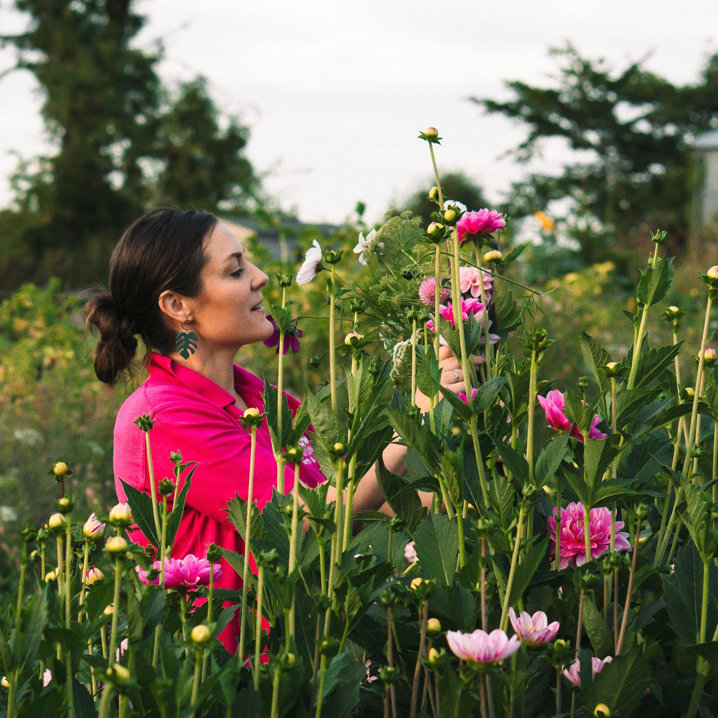 Sow, Grow & Arrange: A Seed to Vase Flower-Farmer Day Experience - 1 October 2026