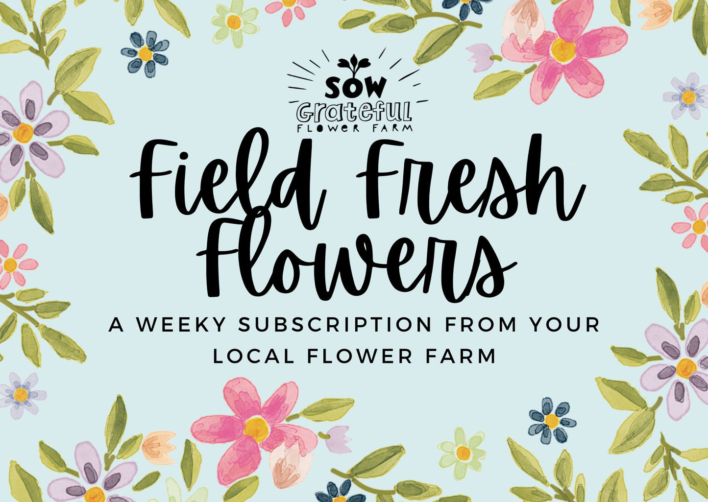 Field Fresh Flowers - Summer Weekly Subscription