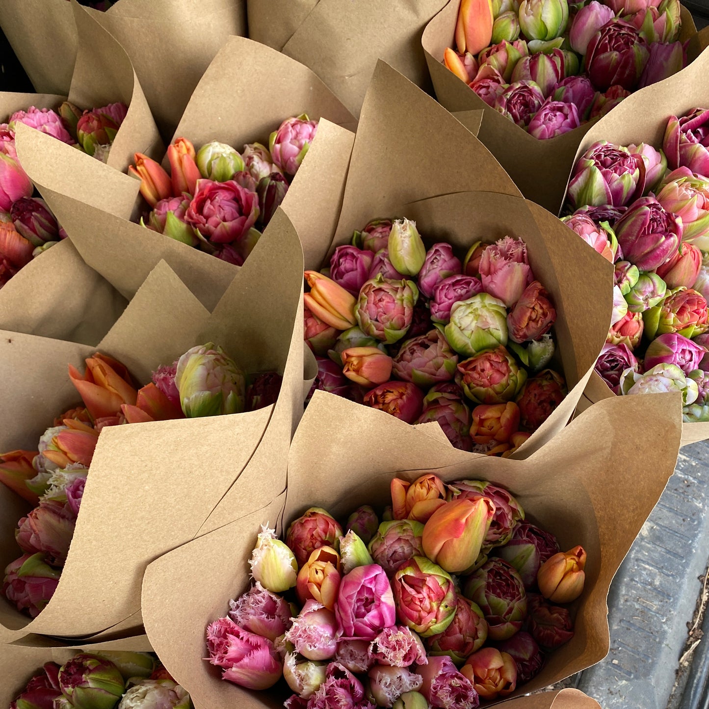 Bunch of Speciality Tulips