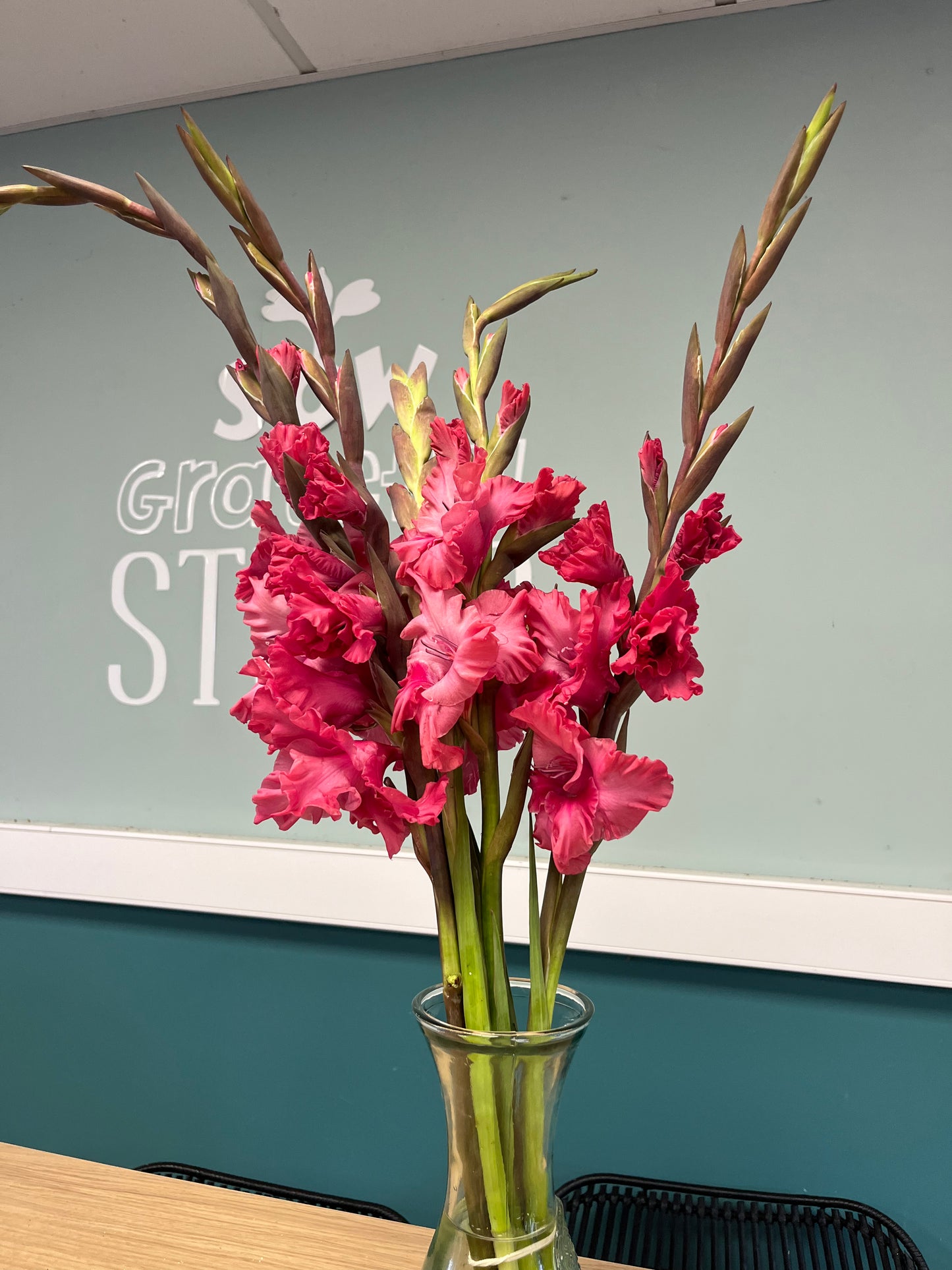 Gladioli Bunch