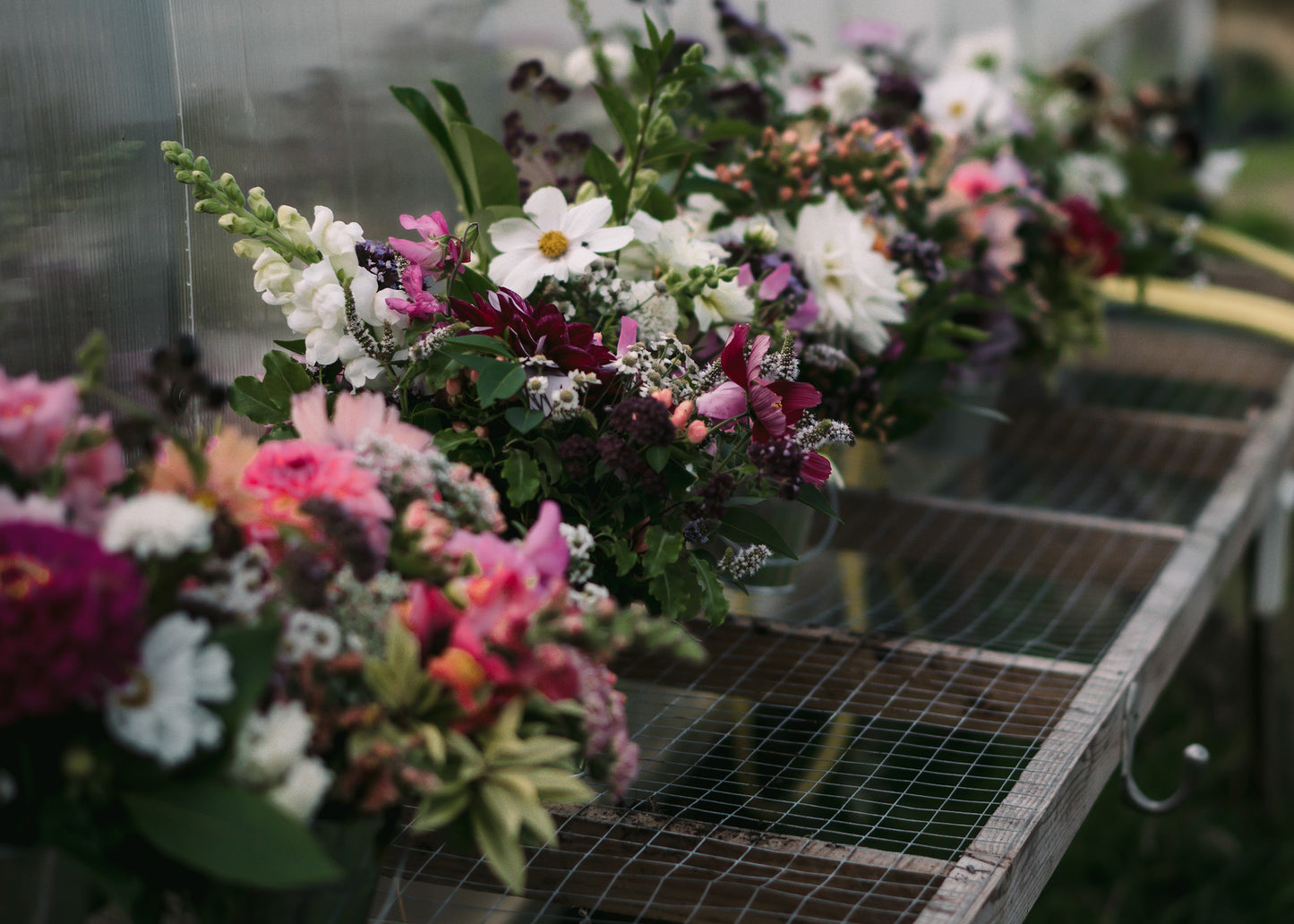 Evening Flower Farm Experience - 13 August 2026