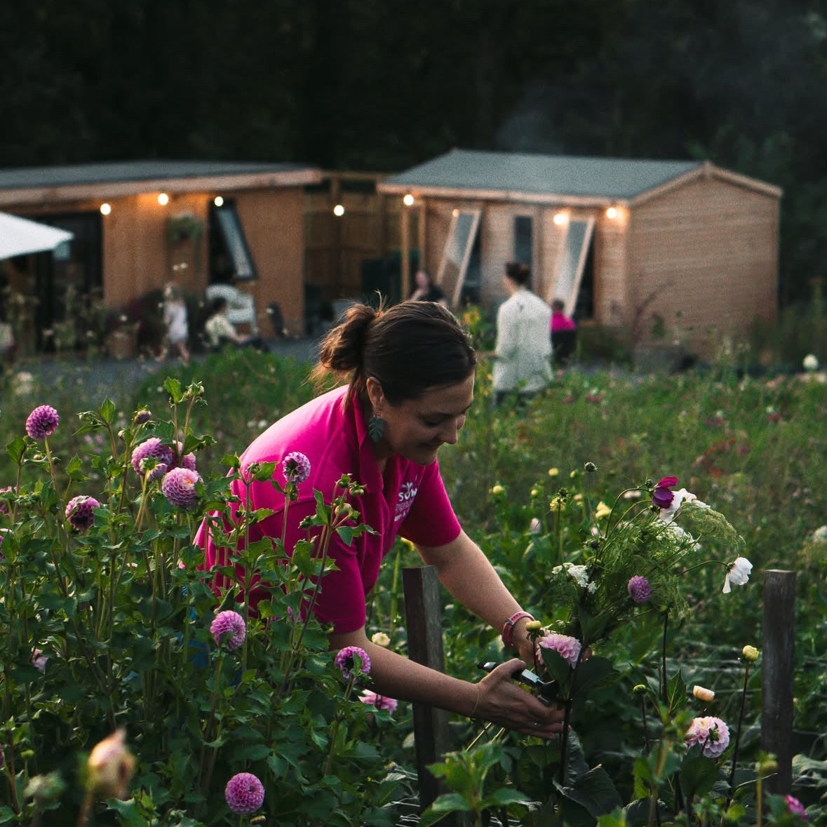 Seed to Vase: An Evening Flower Farm Experience