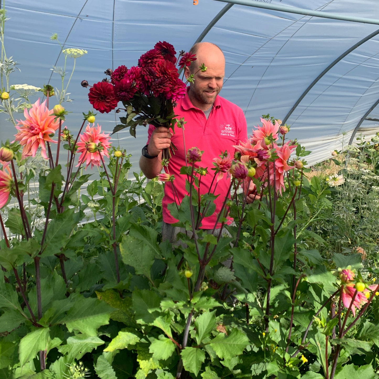 Seed to Vase: An Evening Flower Farm Experience