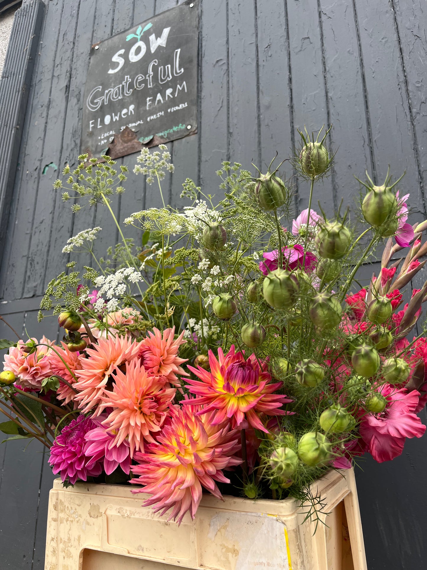 DIY Flowers for Home Arranging
