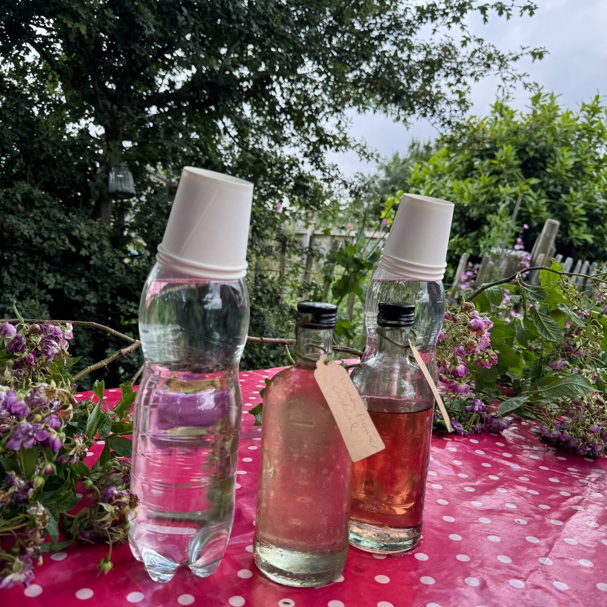 Autumnal Self Care with Community Herbalist Michelle Wooderson - Wednesday 7th October 20266-8pm